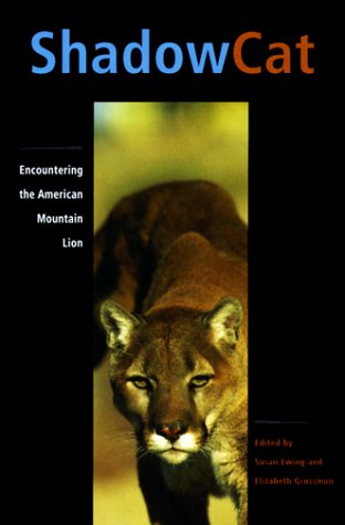 Shadow Cat: Encountering the American Mountain Lion