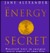 The Energy Secret: Practical Techniques for Understanding and Directing Vital Energy