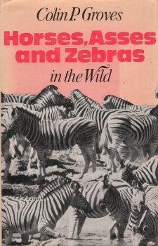 horses-asses-and-zebras-in-the-wild
