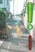 Yotsuba&!, Vol. 09 (Yotsuba&! #9)