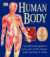 The Human Body