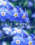 Cold Water by Annmarie McQueen Cold Water by Annmarie McQueen
