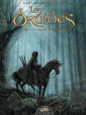 Les Druides Tome 01 : Le Mystère des Oghams (Les Druides #1)