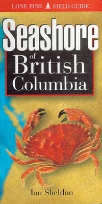 seashore-of-british-columbia