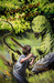 Land of Nod, The Artifact (Land of Nod, #1)