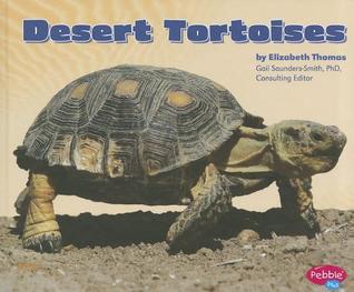 Desert Tortoises