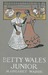 Betty Wales, Junior (Betty Wales, #3)