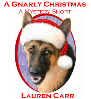 A Gnarly Christmas (Mac Faraday Mystery #3.5)