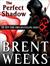 Perfect Shadow (Night Angel, #0.5)
