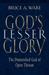 God's Lesser Glory: The Diminished God of Open Theism