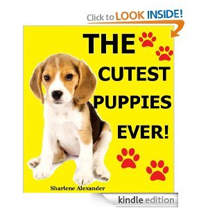 cutest puppies book the cutest puppies by sharlene reviews discussion bookclubs lists cutest puppies book the cutest puppies by sharlene reviews discussion bookclubs lists