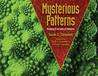 Mysterious Patterns: Finding Fractals in Nature