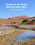 Streams in the Desert