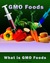 GMO Foods