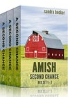 Amish Second Chance Box Set 1 - 3