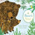 A Bear's Year