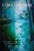 Ravencliffe (Blythewood, #2)