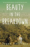 Beauty in the Breakdown by Tegan Anderson Beauty in the Breakdown by Tegan Anderson