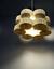 The Reading Lamp