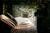 Young Adult Fantasy and Dystopian