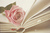 ♡Book~Prom♡ Theme: HARRY POTTER