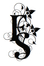 Fiery Seas Books