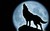 Forbidden Kingdom of the Wolves- A Roleplay