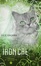 The Iron Fey (group/RP)