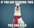 Llamae Book Club