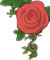 Ouran High School Host Club(Semi-Advanced Rp)