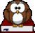 The Observing Owl