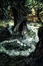 Gothic Literature and Writing Online Club
