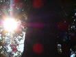 Another Day in the Sun