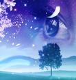 A Dream That Is Reality