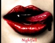 Night fall -Book 1- (Finished)