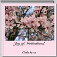Joy of Motherhood