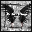 Broken Wings (Broken Wings Series #1)