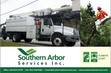 Your Trees Need Expert Care Too – Florida Tree Service