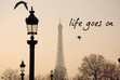 lessons from life