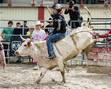 For the Love of Bull Riding