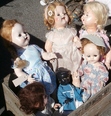 The Doll Museum