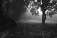 Night Theater