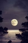 On the Night of the Full Moon