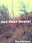 Say That Again?
