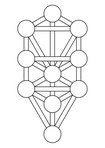 The Light Congress: A Magician's Journal