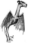 The Jersey Devil