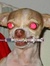 Bryan Hollerbach