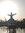Shutterbug_iconium