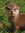 Amy (AmesCat) | 278 comments