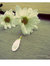 ضُحى